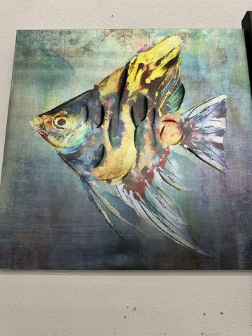 Fish Picture23.5" x 23.5"