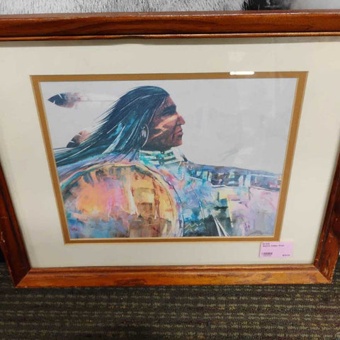 Native Indian Print