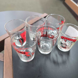 Set of 6 Shot Glasses