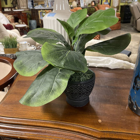 Faux Greenery