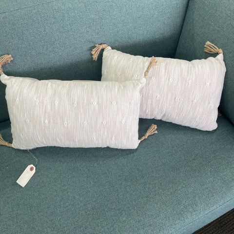 Pair of Accent Pillows