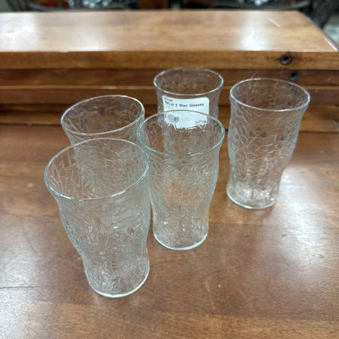 Set of 5 Shot Glasses