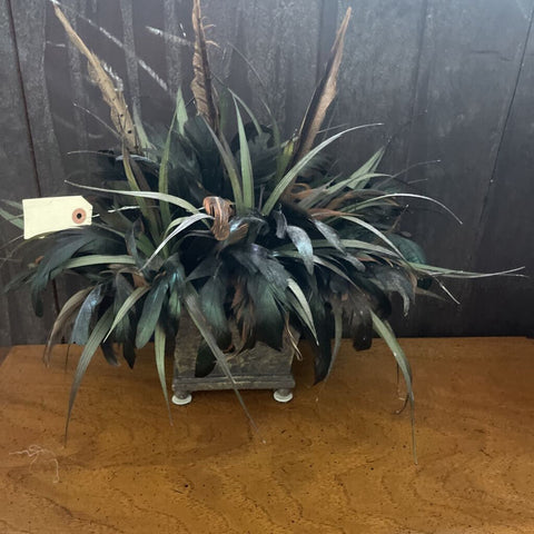 Plant/Feather Decor