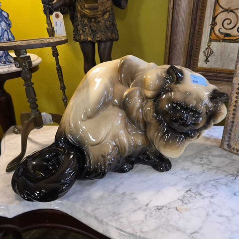 Large Cat