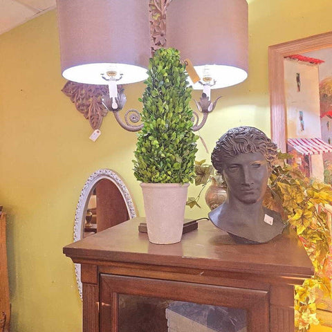 Boxwood Topiary