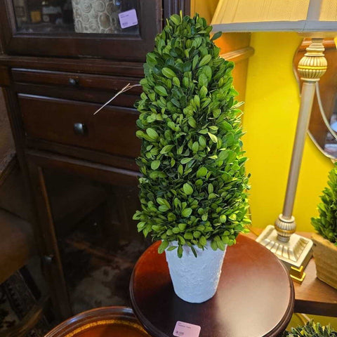 Boxwood Topiary