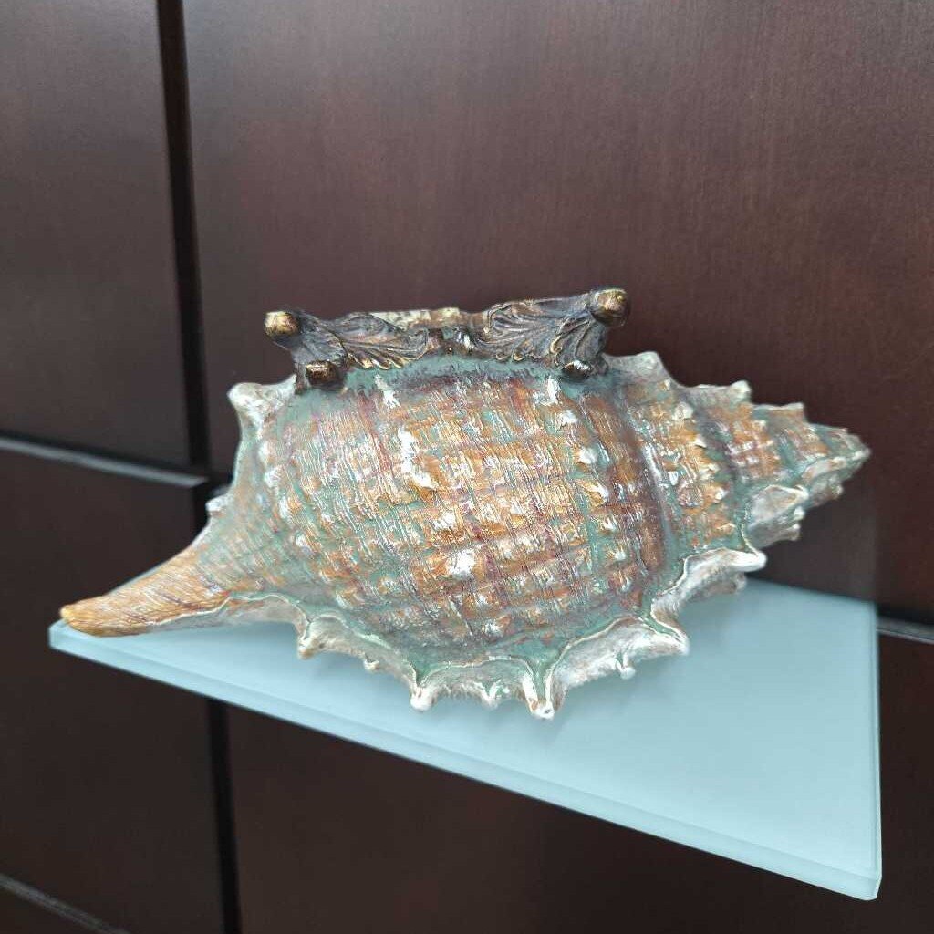 Shell Decor