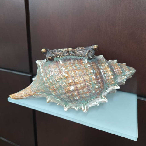 Shell Decor