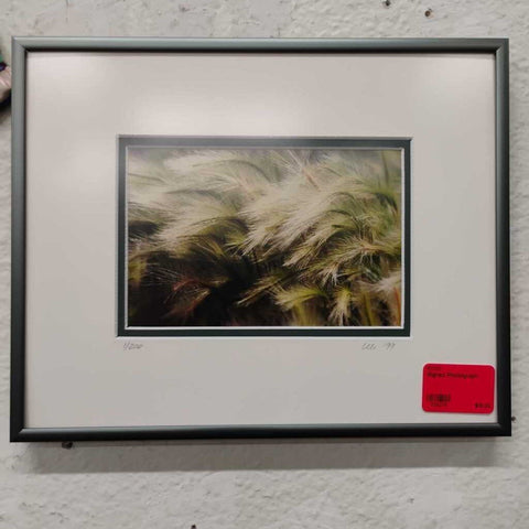 Signed Photograph