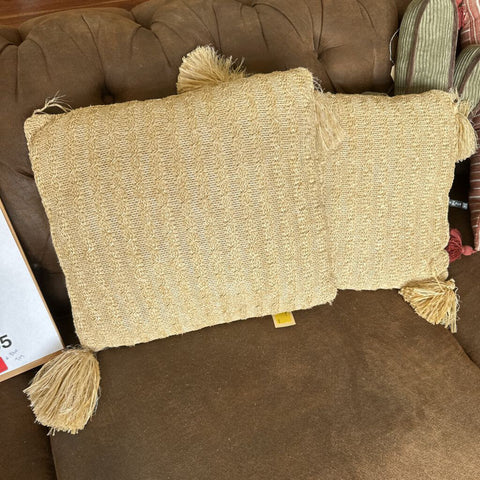 Pair of Pillows Not accepted for consignment due to condition- missing tassels-CH
