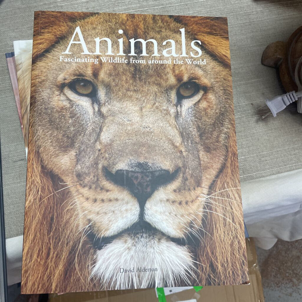 Book Paperback