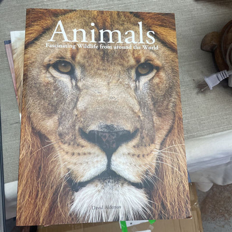 Book Paperback