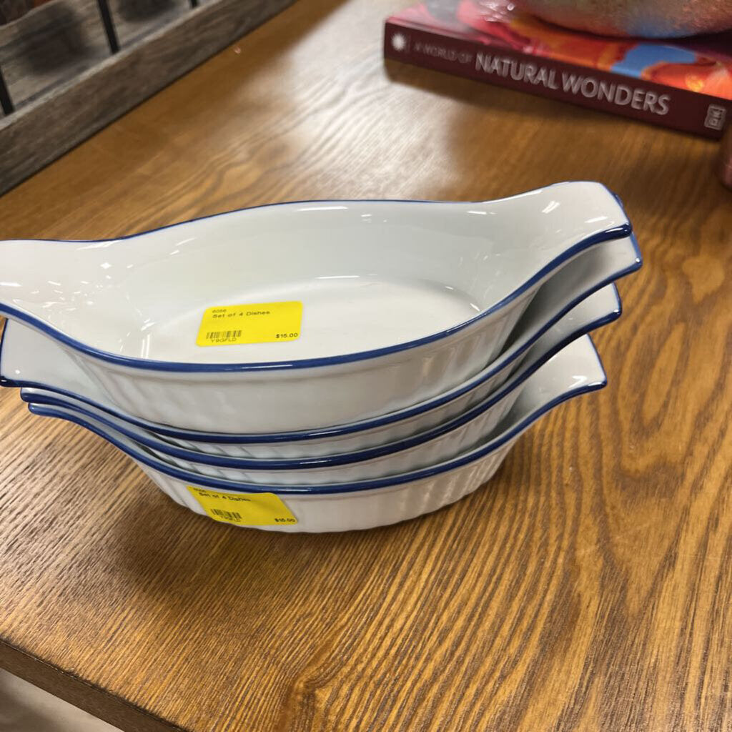 Set of 4 Dishes