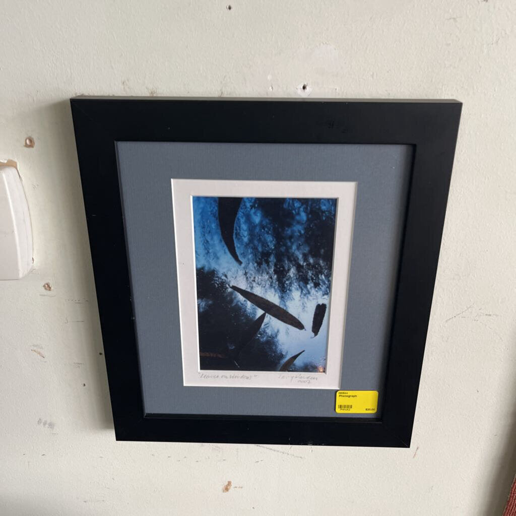Photograph