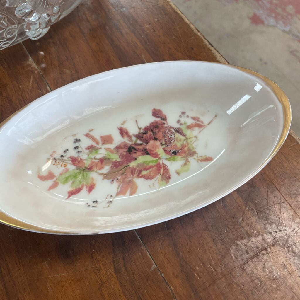 Dish