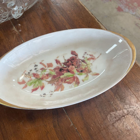 Dish