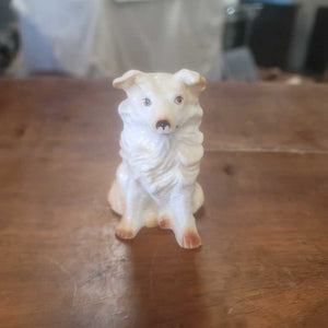 Dog Decor