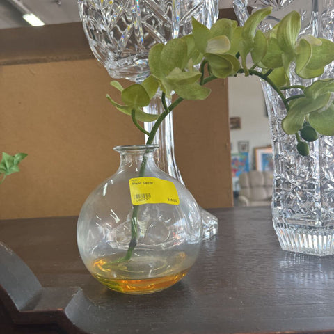 Plant Decor