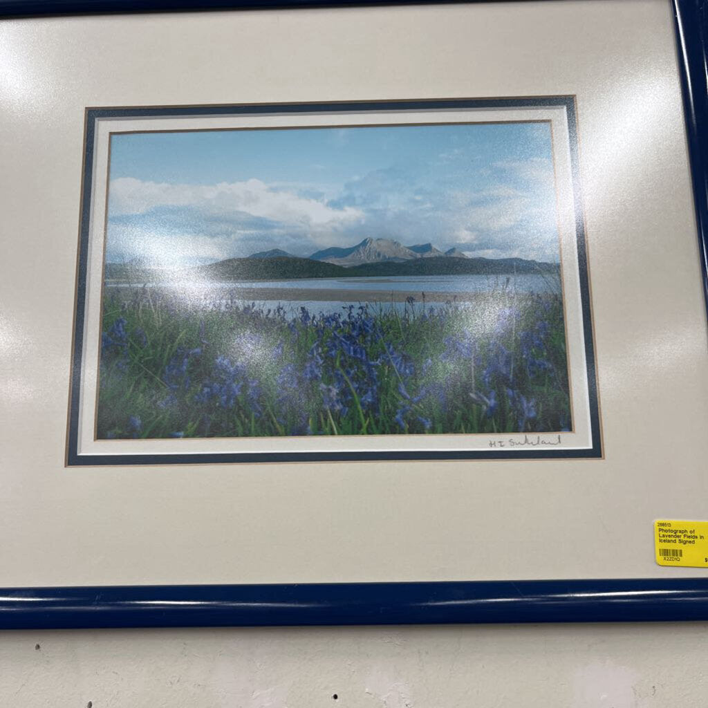 Photograph of Lavender Fields in Iceland Signed