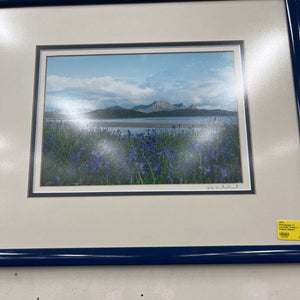 Photograph of Lavender Fields in Iceland Signed