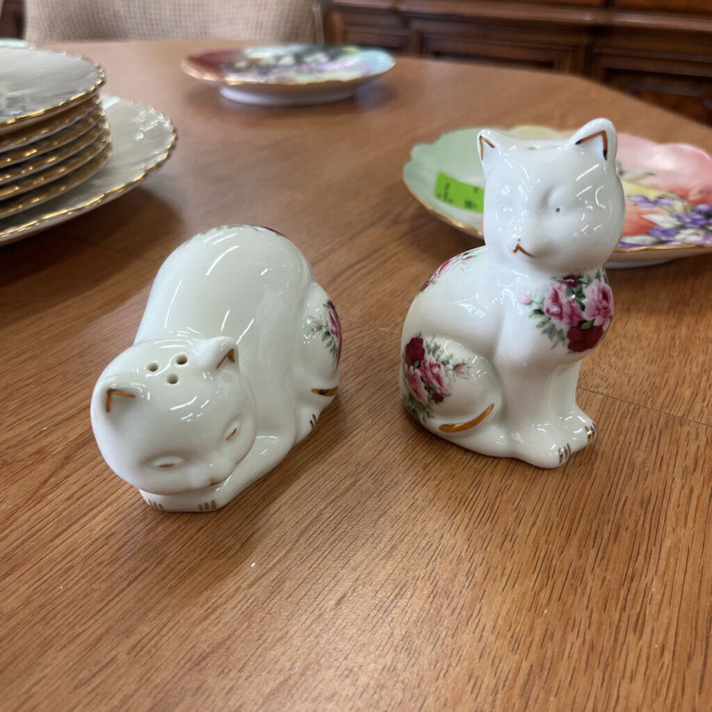 Pair of Salt & Pepper Set