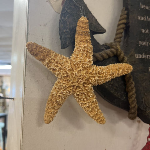 Starfish Decor
