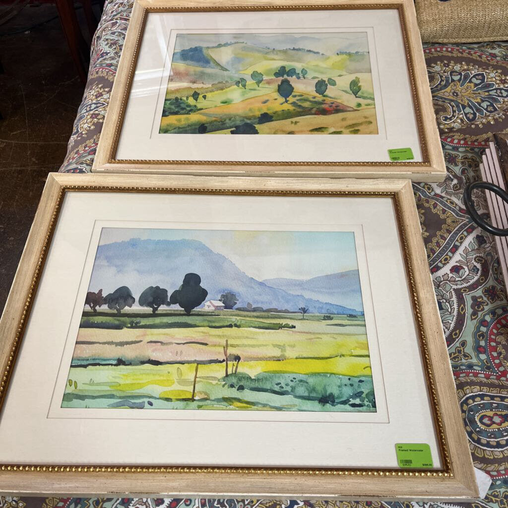 Framed Watercolor