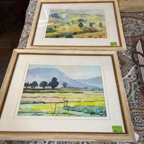 Framed Watercolor