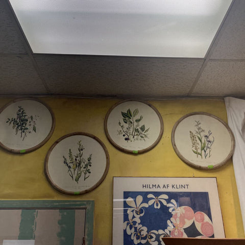 Wall Decor
