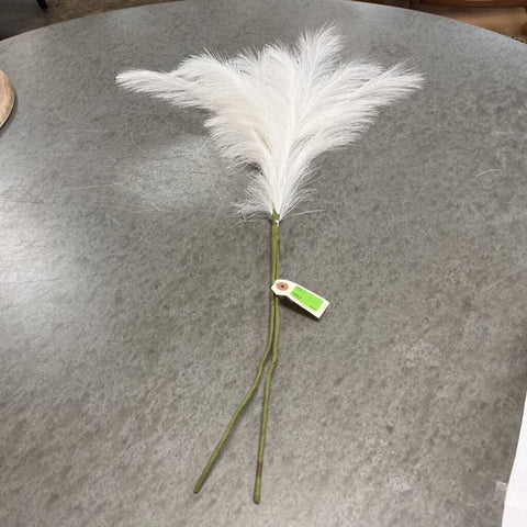 Feathers