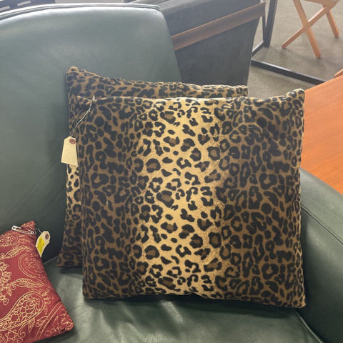 Pair of Decor Pillows