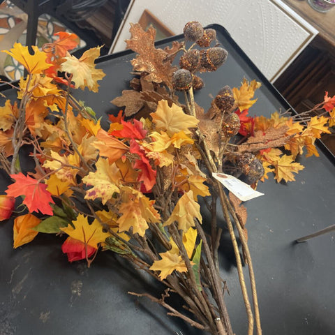 Fall