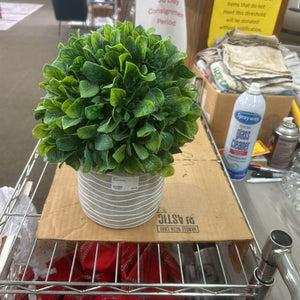 Plant Decor