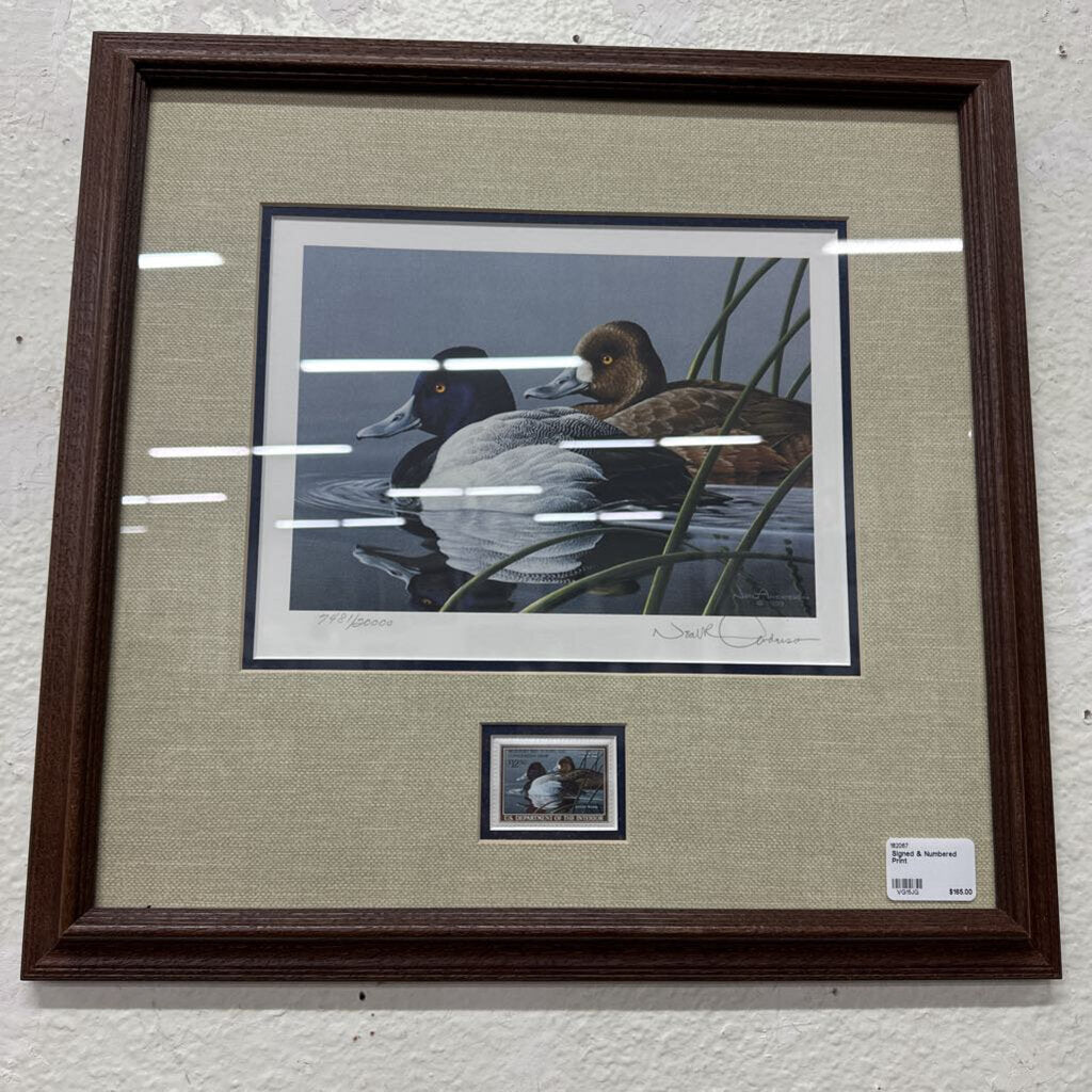Signed & Numbered Print