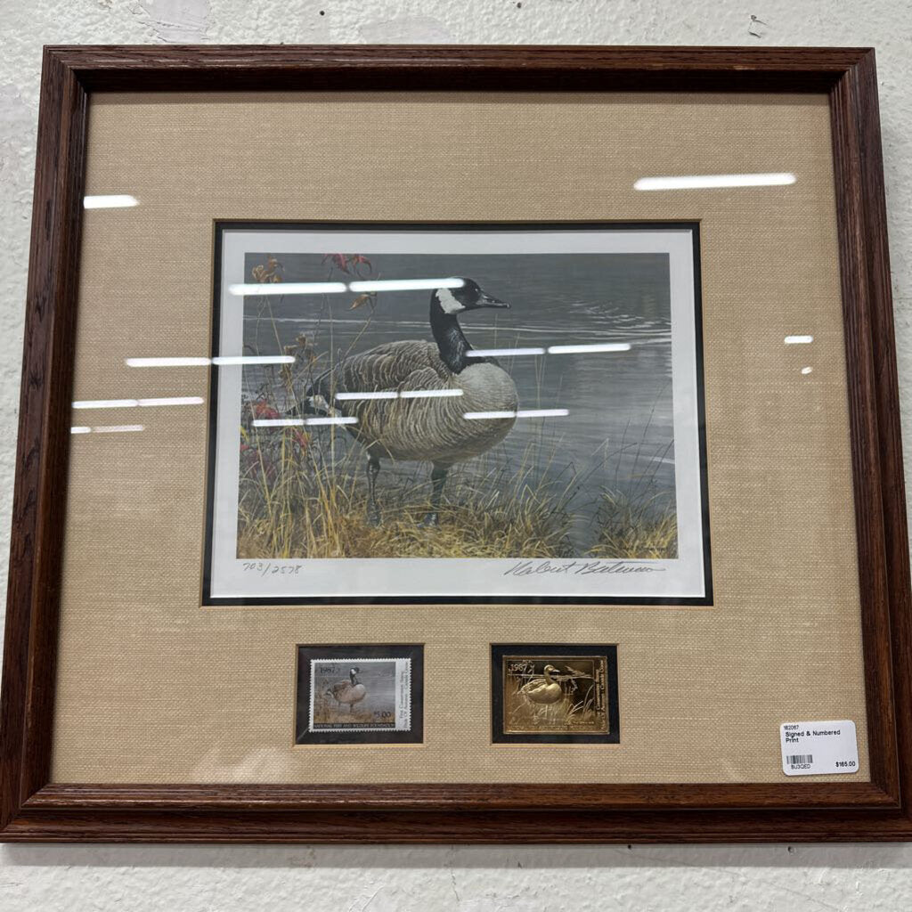 Signed & Numbered Print