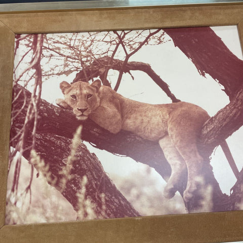 Lion Print