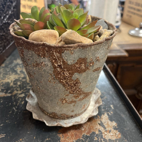 Plant Decor
