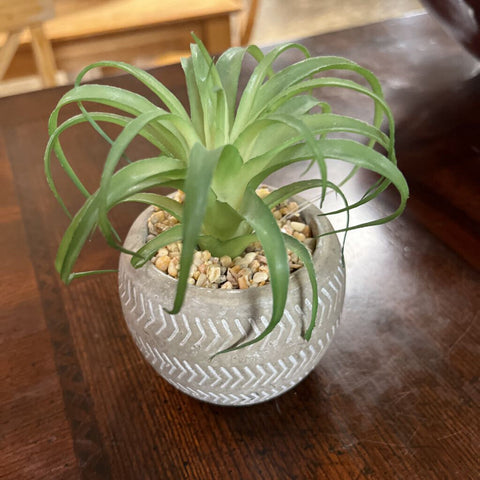 3p Fake Succulents
