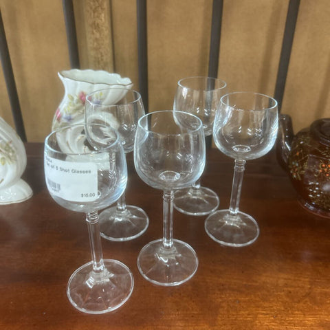 Set of 5 Shot Glasses