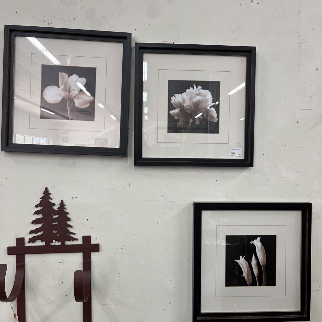 Set of 3 Wall Decor