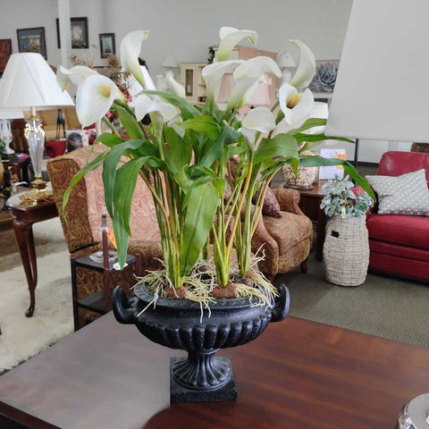 Plant Decor