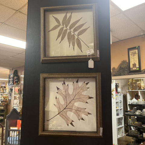 Pair of Framed Art
