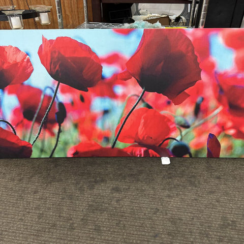 Print on Canvas