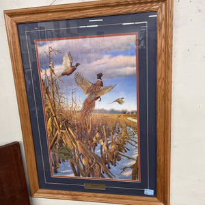 Signed & Numbered Print