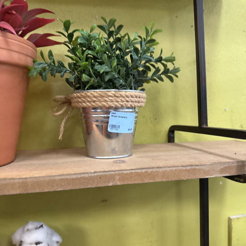 Small Greenery