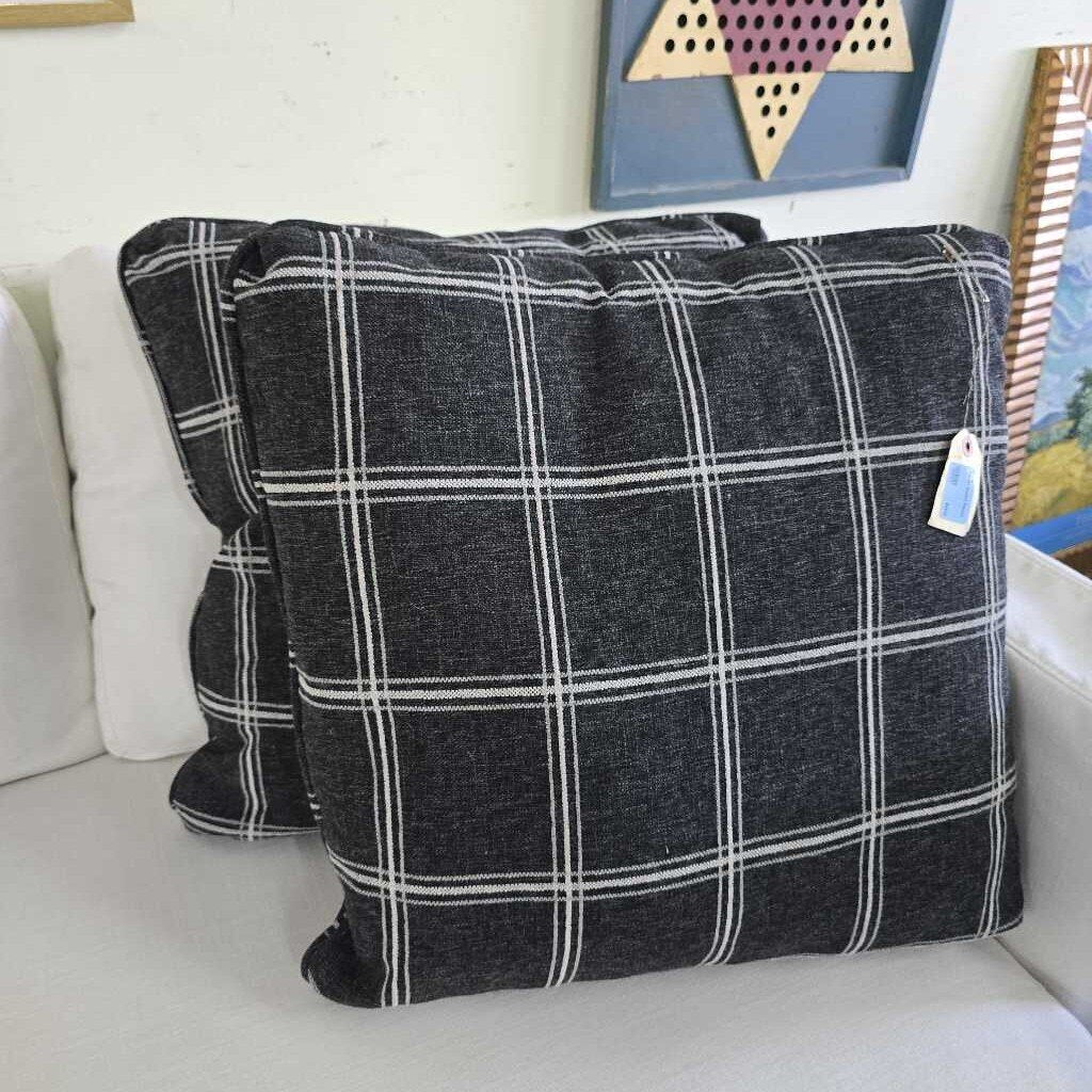 Pair of Accent Pillows