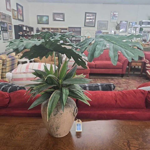 Pottery w/Plant Decor