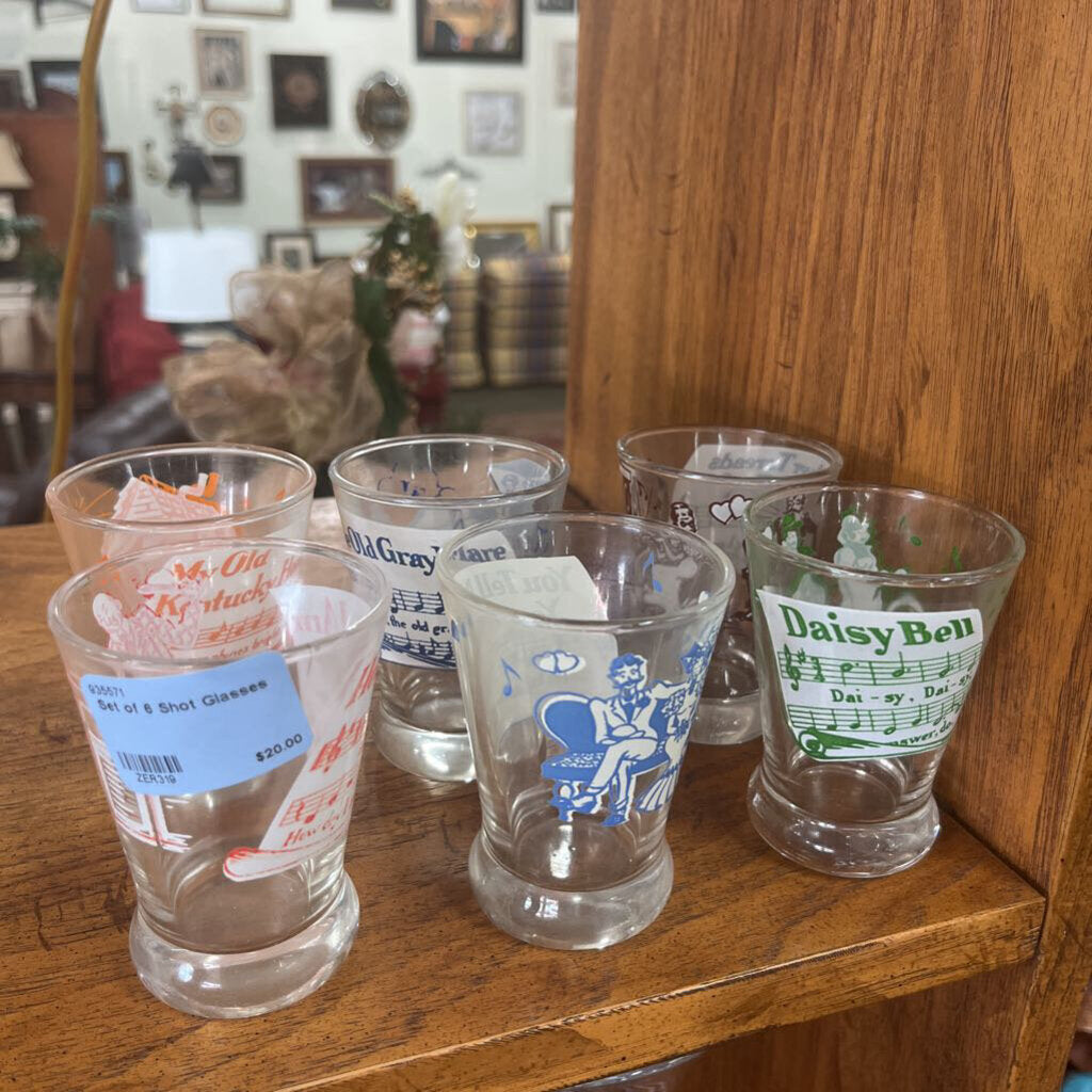 Set of 6 Shot Glasses