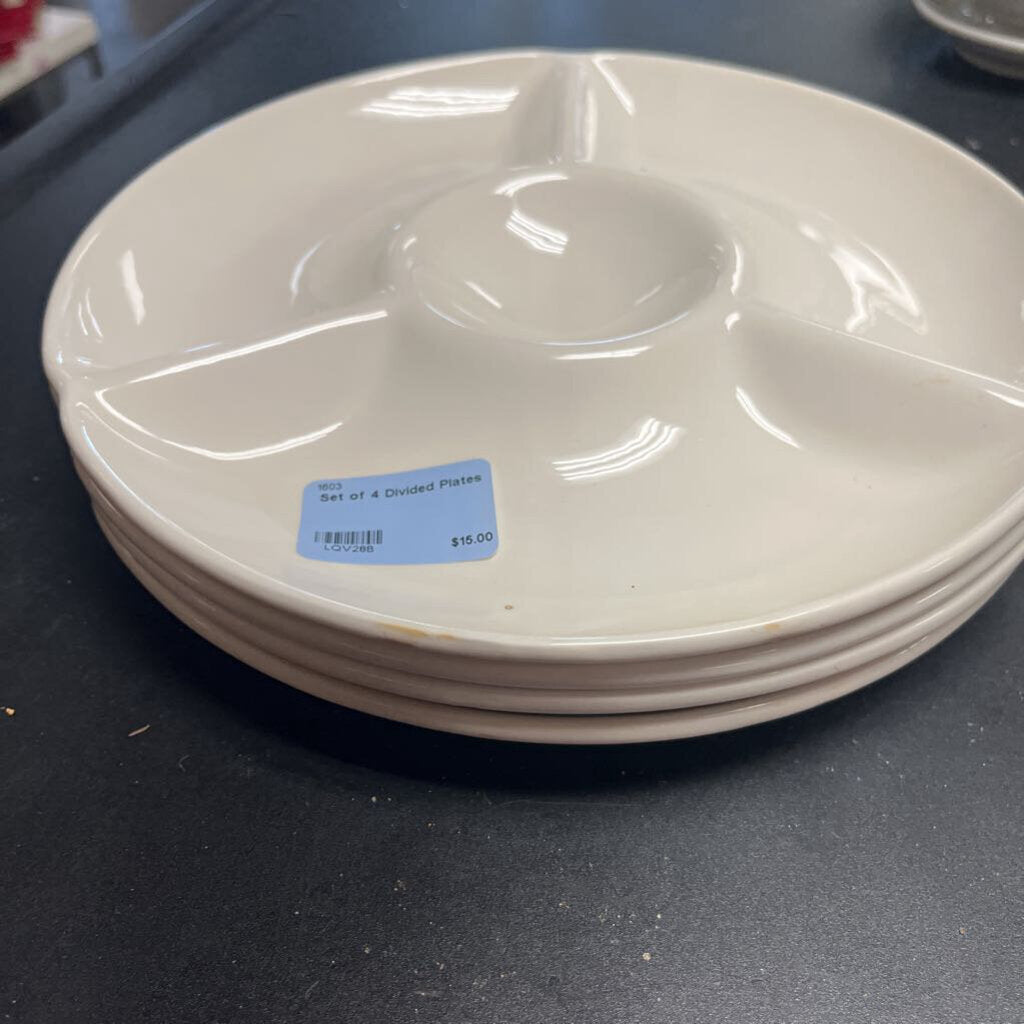 Set of 4 Divided Plates