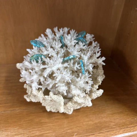 Coral Decor